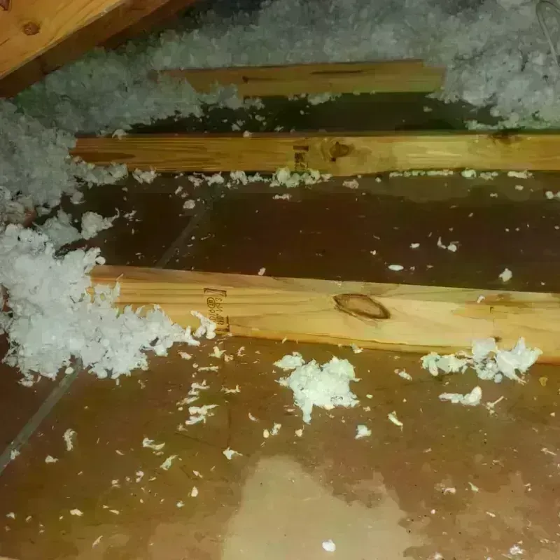 Attic Water Damage in Clay County, SD