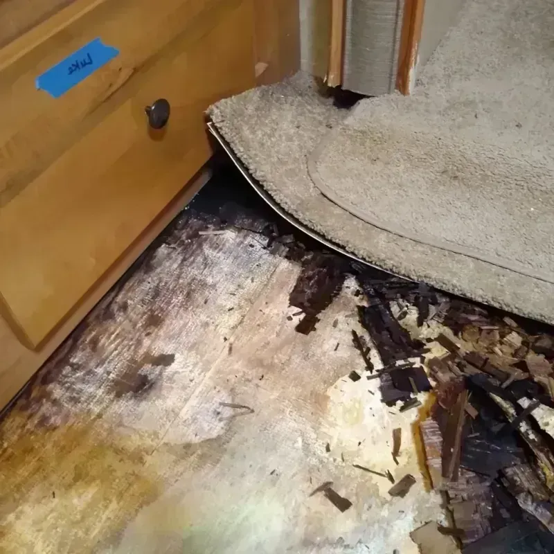 Best Wood Floor Water Damage Service in Clay County, SD